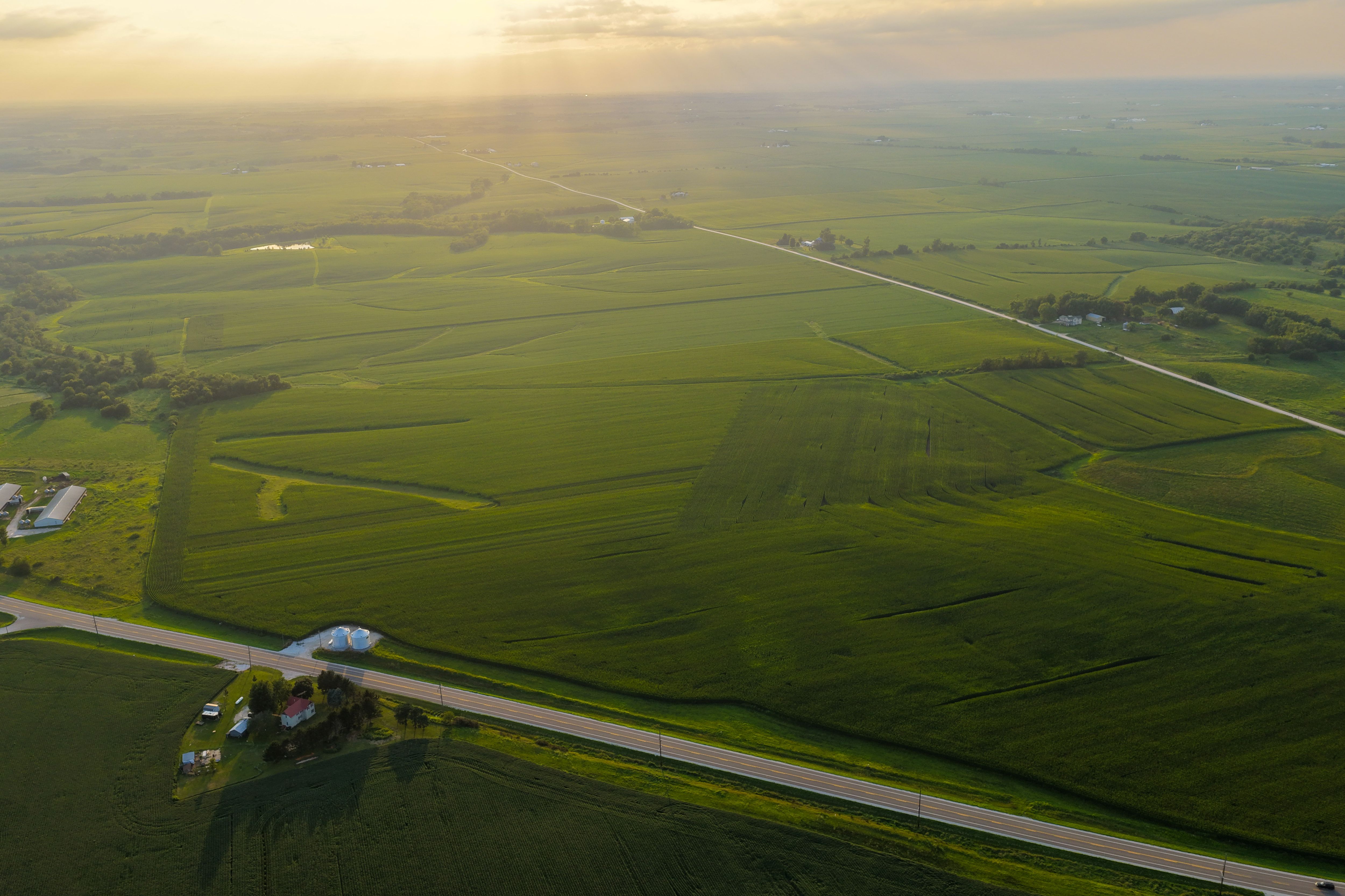 Listing Photo: Land for Sale Johnson County Iowa-49